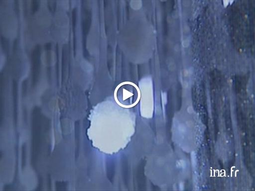 2012 : ouverture du CETI, centre européen des textiles innovants  - La manufacture - Comprendre l'aventure textile 